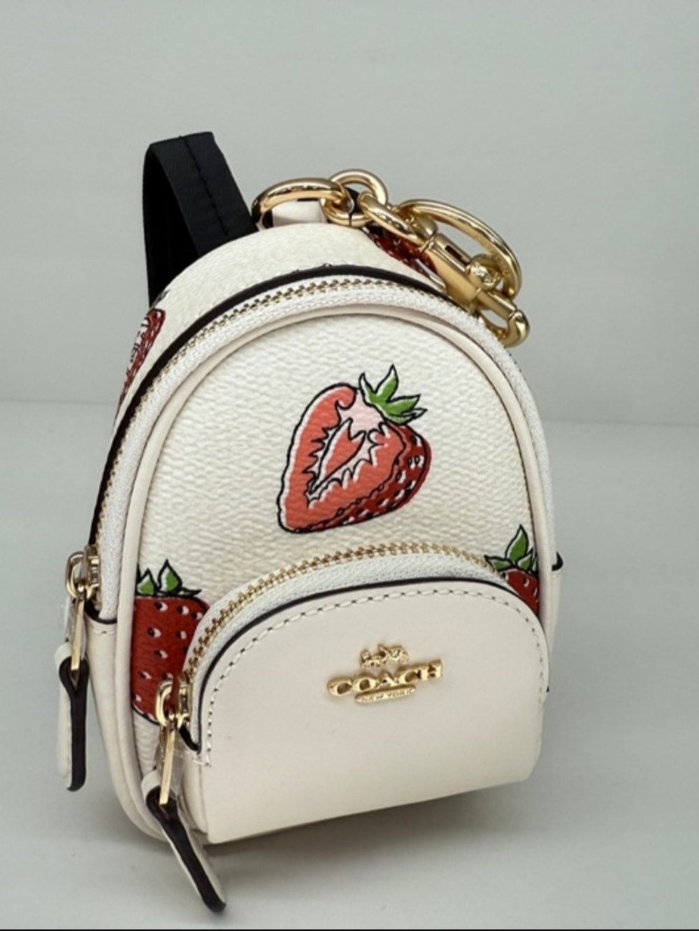 NWT Coach Mollie Tote with Matching Wristlet & Mini Backpack - Picture 2 of 2